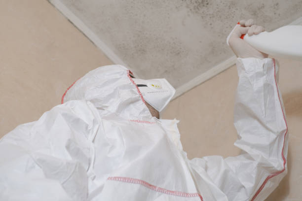 Best Localized Mold Remediation (e.g., coastal areas, humid climates) in Mshall, AR